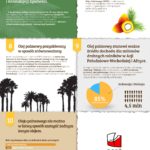 infografika fakty o oleju palmowym